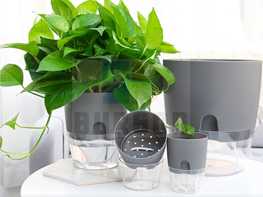 Watering Flower Pot
